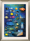 The Coral Reef Posters