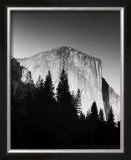El Capitan in Trees Prints by Bradford Smith
