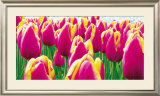 Tulips Poster by Jan Lens