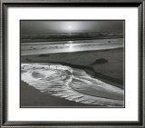Birds On A Beach Art by Ansel Adams