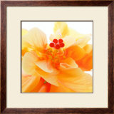 Bolero Prints by Ingrid Ulmer