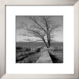 To the End Prints by Mary Ruppert