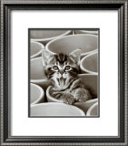 Kitty Cat Art by Jean-Michel Labat