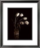 Dramatic Tulips Posters by Dick & Diane Stefanich
