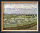 Orchard Posters by Vincent van Gogh
