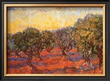The Olive Grove, c.1889 Posters by Vincent van Gogh