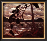 West Wind Posters by Tom Thomson