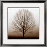Stillness Prints by Erin Clark
