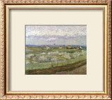 Orchard Prints by Vincent van Gogh