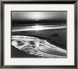 Birds on a Beach Posters by Ansel Adams