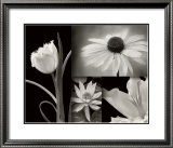 Summer Garden I Prints by Dennis Frates