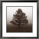 Reflection Prints by Erin Clark