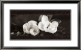 Soft Magnolias I Posters by Christine Elizabeth