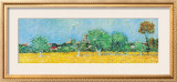 View of Arles with Irises (detail) Poster by Vincent van Gogh