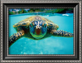 Honu, Turtle Print by Kirk Lee Aeder