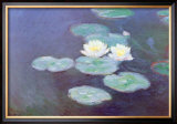 Nympheas Effet du Soir Prints by Claude Monet