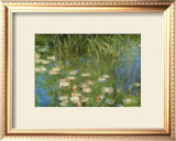 Water Lilies of the Orangerie as Giverny Prints by Claude Monet