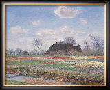 Tulip Fields at Sassenheim Print by Claude Monet