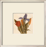 Tre Fiori II Prints by Amy Melious