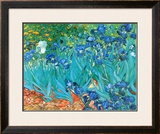 Irises, c.1889 Poster by Vincent van Gogh