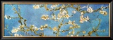 Almond Blossoms Prints by Vincent van Gogh