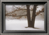 Tranquility Prints by David Winston