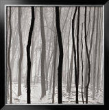Streaks Posters by Doug Burgess
