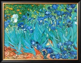 Irises, c.1889 Posters by Vincent van Gogh