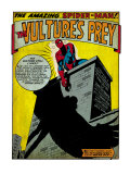 Marvel Comics Retro: The Amazing Spider-Man Comic Panel, the Vulture's Prey (aged) Print