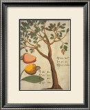 Cashew Tree Poster by Michael Boym