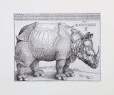 Albrecht Dürer - Rhinoceros, c.1515 - Reprodüksiyon