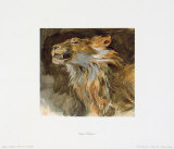 Head of a Lyon Affiches par Eugene Delacroix