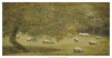English Countryside IV Posters by Terry Lawrence