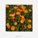 Marigolds Posters by Moser Koloman