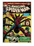 Marvel Comics Retro: The Amazing Spider-Man Comic Book Cover #135, Return of the Punisher! (aged) Poster