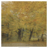 English Countryside I Prints by Terry Lawrence