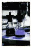 Gourmand: Salt & Pepper I Posters by Pascal Normand