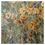Amber Poppy Field I Posters by Tim O'toole