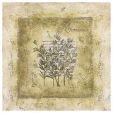 Romarin Prints by Véronique Didier-Laurent