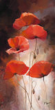 Poppy Bouquet II Affiches par Willem Haenraets