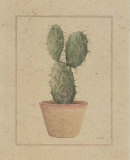 Opuntia Print by Laurence David