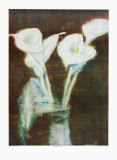 Callas, c.1937 Collectable Print by Christian Rohlfs
