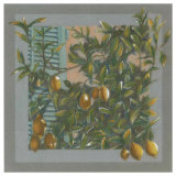 Citronnier Posters by A.C. Jacquin