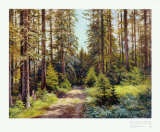 Sunny Forest Road Posters by Ernst Frommhold