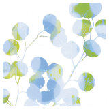 Blue Plums II Posters by Ricki Mountain