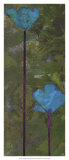 Teal Poppies III Print by Ricki Mountain