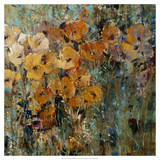 Amber Poppy Field II Art by Tim O'toole