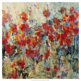 Red Poppy Field II Posters by Tim O'toole