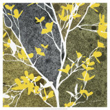 Moon Flowers I Poster av James Burghardt