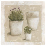 Ciboulette en Pot Posters by Véronique Didier-Laurent